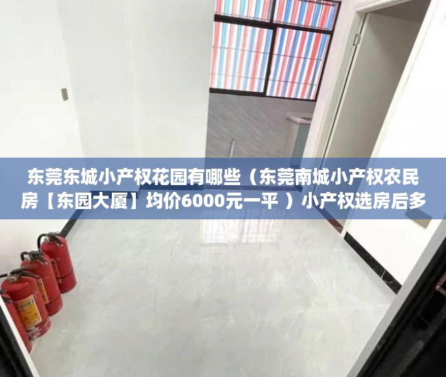 东莞东城小产权花园有哪些（东莞南城小产权农民房【东园大厦】均价6000元一平 ）小产权选房后多久交房款，