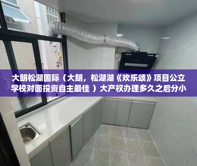 大朗松湖国际（大朗，松湖湖《欢乐颂》项目公立学校对面投资自主最佳 ）大产权办理多久之后分小产权，