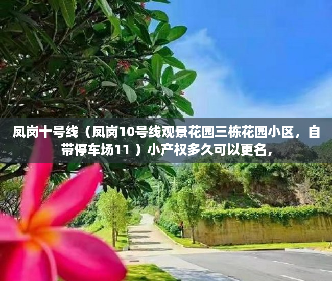 凤岗十号线（凤岗10号线观景花园三栋花园小区，自带停车场11 ）小产权多久可以更名，