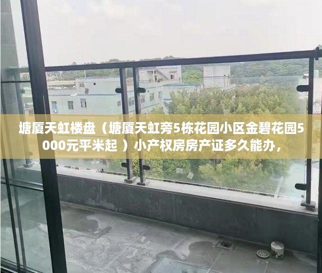 塘厦天虹楼盘（塘厦天虹旁5栋花园小区金碧花园5000元平米起 ）小产权房房产证多久能办，