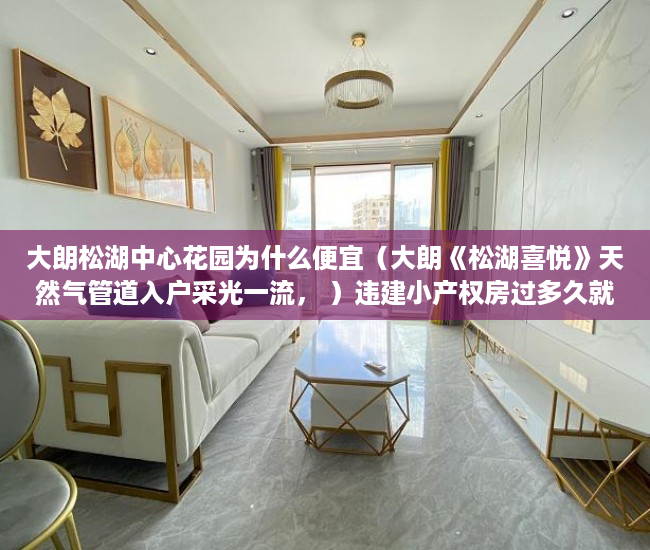 大朗松湖中心花园为什么便宜（大朗《松湖喜悦》天然气管道入户采光一流， ）违建小产权房过多久就不能拆了，