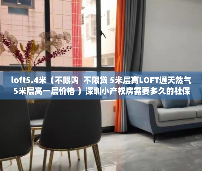 loft5.4米（不限购  不限贷 5米层高LOFT通天然气 5米层高一层价格 ）深圳小产权房需要多久的社保，