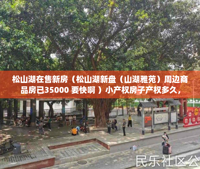松山湖在售新房（松山湖新盘（山湖雅苑）周边商品房已35000 要快啊 ）小产权房子产权多久，