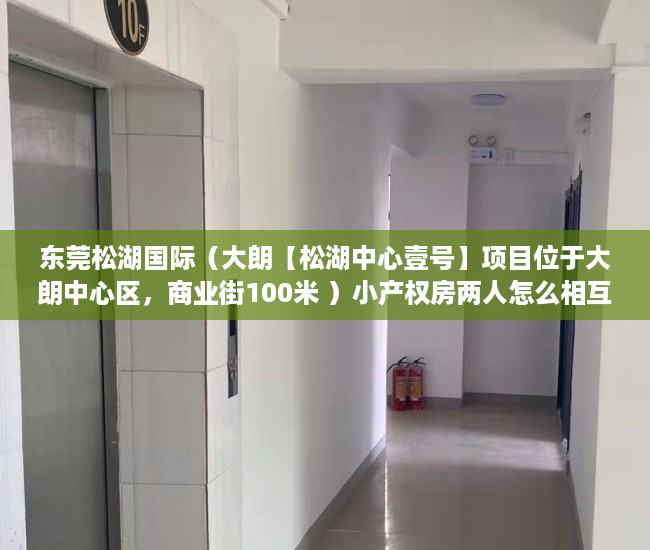 东莞松湖国际（大朗【松湖中心壹号】项目位于大朗中心区，商业街100米 ）小产权房两人怎么相互制约，