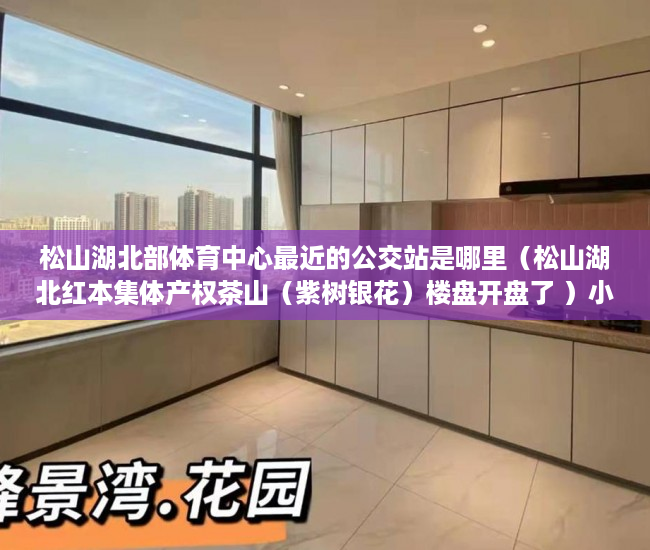 松山湖北部体育中心最近的公交站是哪里（松山湖北红本集体产权茶山（紫树银花）楼盘开盘了 ）小产权房多久会拆，