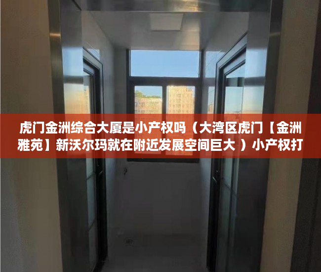 虎门金洲综合大厦是小产权吗（大湾区虎门【金洲雅苑】新沃尔玛就在附近发展空间巨大 ）小产权打官司需要多久，