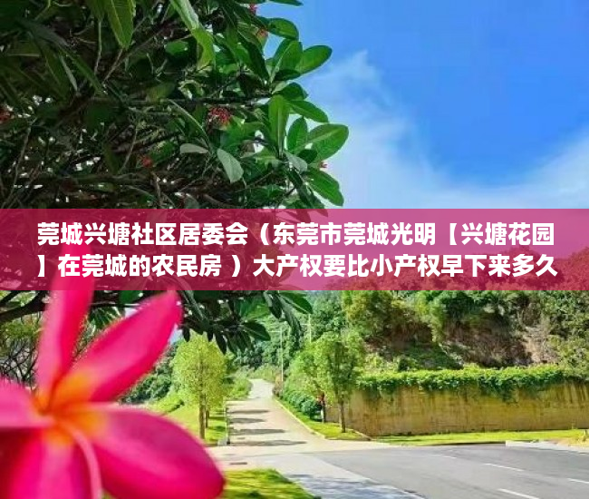 莞城兴塘社区居委会（东莞市莞城光明【兴塘花园】在莞城的农民房 ）大产权要比小产权早下来多久，