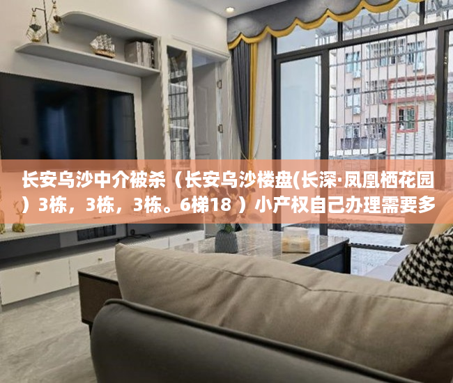 长安乌沙中介被杀（长安乌沙楼盘(长深·凤凰栖花园）3栋，3栋，3栋。6梯18 ）小产权自己办理需要多久，