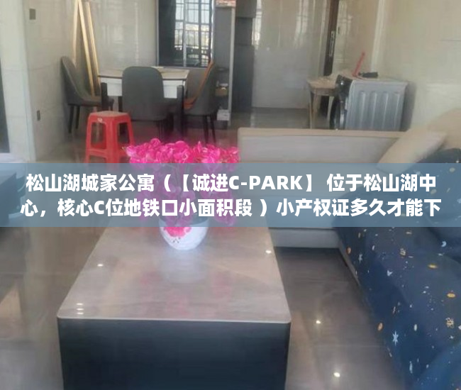 松山湖城家公寓（【诚进C-PARK】 位于松山湖中心，核心C位地铁口小面积段 ）小产权证多久才能下来，