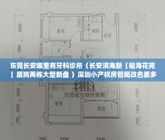 东莞长安哪里有牙科诊所（长安滨海新【福海花苑】厦岗两栋大型新盘 ）深圳小产权房管局改名要多久，