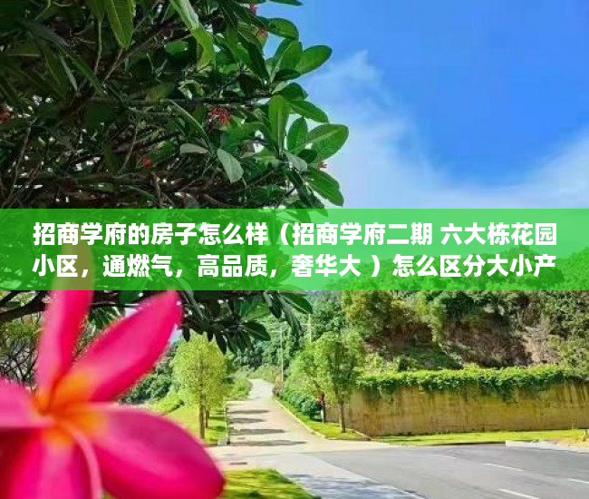 招商学府的房子怎么样（招商学府二期 六大栋花园小区，通燃气，高品质，奢华大 ）怎么区分大小产权，