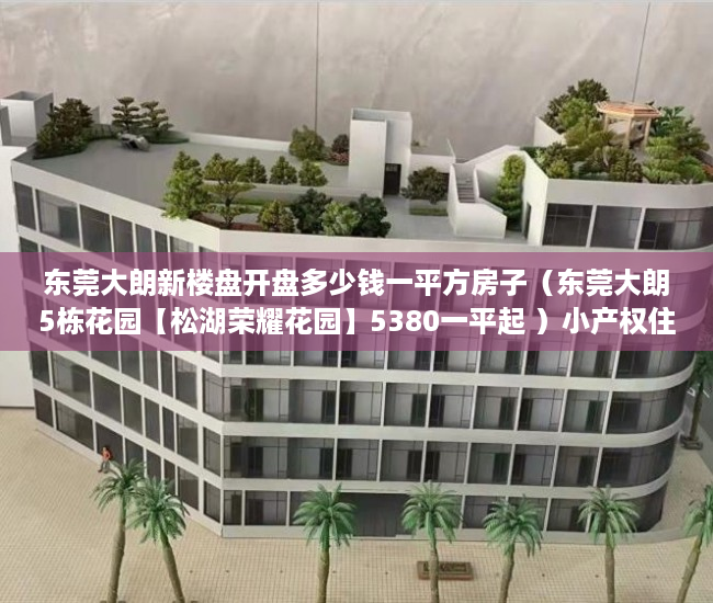 东莞大朗新楼盘开盘多少钱一平方房子（东莞大朗5栋花园【松湖荣耀花园】5380一平起 ）小产权住宅信息统计表怎么填，