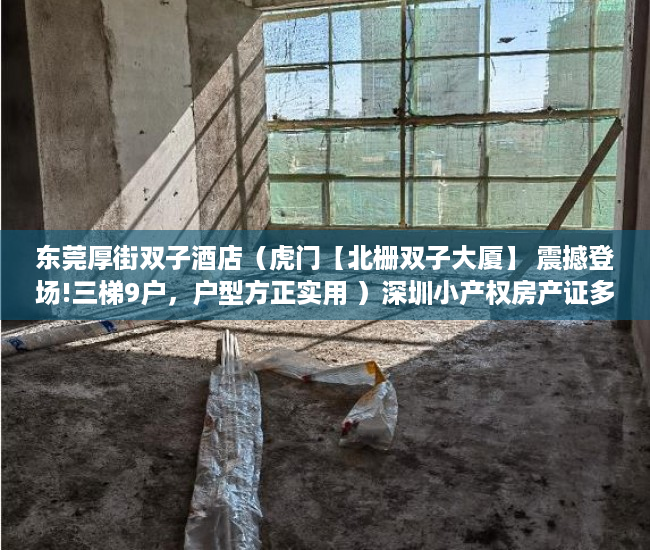 东莞厚街双子酒店（虎门【北栅双子大厦】 震撼登场!三梯9户，户型方正实用 ）深圳小产权房产证多久能办下来，