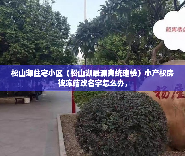 松山湖住宅小区（松山湖最漂亮统建楼）小产权房被冻结改名字怎么办，
