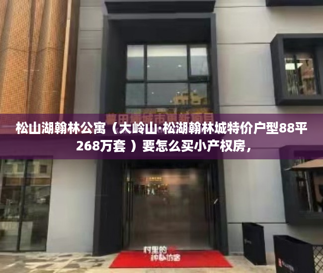 松山湖翰林公寓（大岭山·松湖翰林城特价户型88平 268万套 ）要怎么买小产权房，