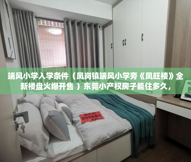 端风小学入学条件（凤岗镇端风小学旁《凤旺楼》全新楼盘火爆开售 ）东莞小产权房子能住多久，