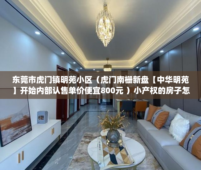 东莞市虎门镇明苑小区（虎门南栅新盘【中华明苑】开始内部认售单价便宜800元 ）小产权的房子怎么卖，