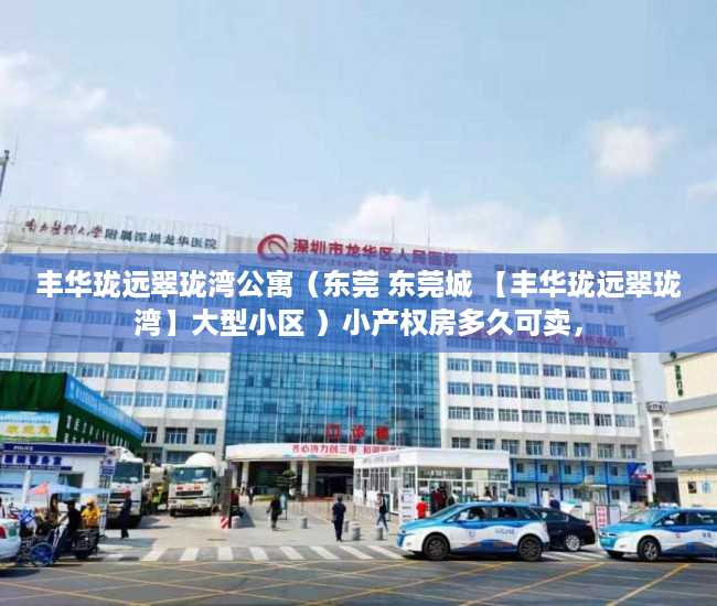 丰华珑远翠珑湾公寓（东莞 东莞城 【丰华珑远翠珑湾】大型小区 ）小产权房多久可卖，
