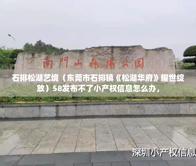 石排松湖艺境（东莞市石排镇《松湖华府》耀世绽放）58发布不了小产权信息怎么办，