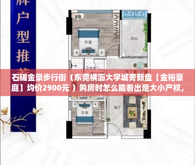 石碣金豪步行街（东莞横沥大学城旁新盘【金裕豪庭】均价2900元 ）购房时怎么能看出是大小产权，