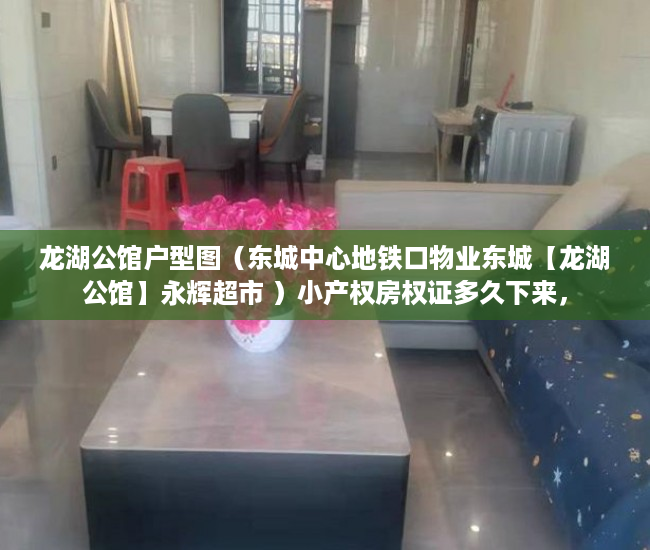 龙湖公馆户型图（东城中心地铁口物业东城【龙湖公馆】永辉超市 ）小产权房权证多久下来，