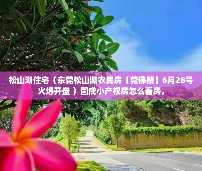 松山湖住宅（东莞松山湖农民房【莞佛楼】6月28号火爆开盘 ）固戍小产权房怎么看房，