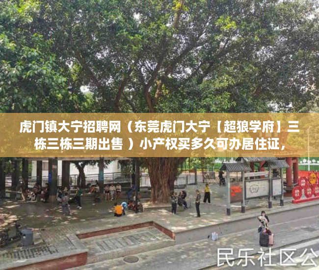 虎门镇大宁招聘网（东莞虎门大宁【超狼学府】三栋三栋三期出售 ）小产权买多久可办居住证，