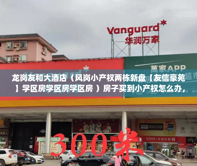 龙岗友和大酒店（风岗小产权两栋新盘【友信豪苑 】学区房学区房学区房 ）房子买到小产权怎么办，