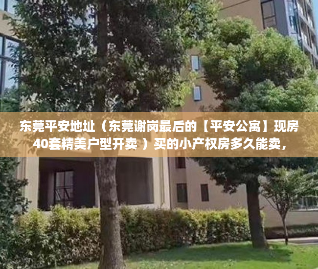 东莞平安地址（东莞谢岗最后的【平安公寓】现房40套精美户型开卖 ）买的小产权房多久能卖，