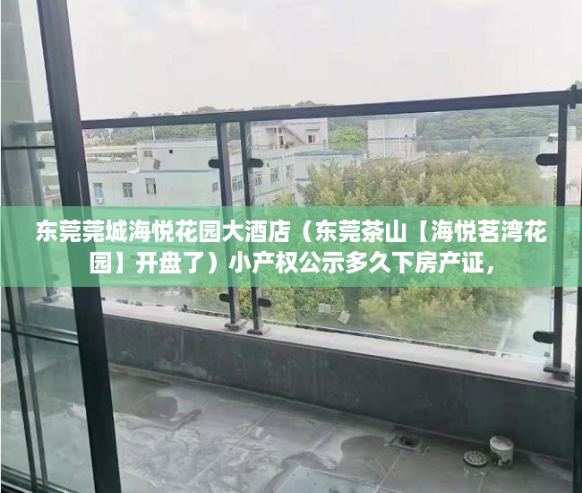 东莞莞城海悦花园大酒店（东莞茶山【海悦茗湾花园】开盘了）小产权公示多久下房产证，