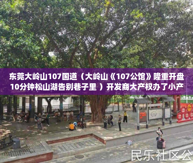 东莞大岭山107国道（大岭山《107公馆》隆重开盘10分钟松山湖告别巷子里 ）开发商大产权办了小产权多久办下来，