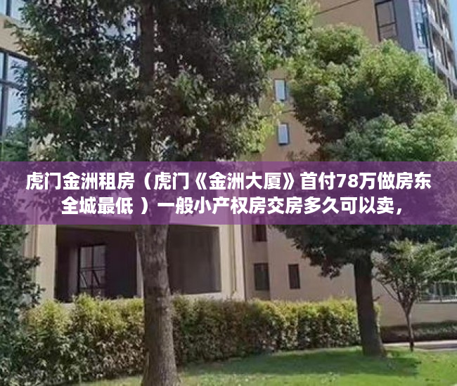 虎门金洲租房（虎门《金洲大厦》首付78万做房东 全城最低 ）一般小产权房交房多久可以卖，