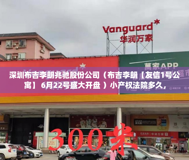 深圳布吉李朗兆驰股份公司（布吉李朗【友信1号公寓】 6月22号盛大开盘 ）小产权法院多久，
