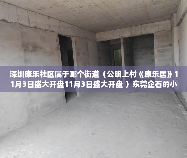 深圳康乐社区属于哪个街道（公明上村《康乐居》11月3日盛大开盘11月3日盛大开盘 ）东莞企石的小产权房怎么办，
