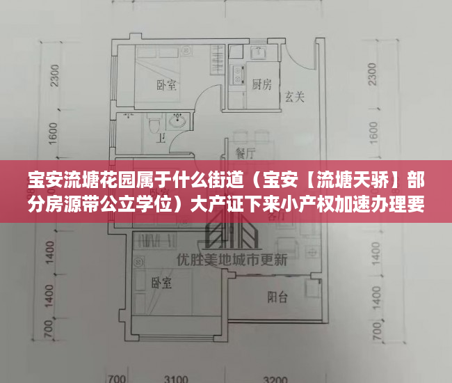 宝安流塘花园属于什么街道（宝安【流塘天骄】部分房源带公立学位）大产证下来小产权加速办理要多久，