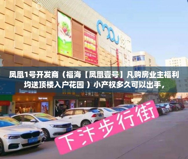 凤凰1号开发商（福海【凤凰壹号】凡购房业主福利均送顶楼入户花园 ）小产权多久可以出手，
