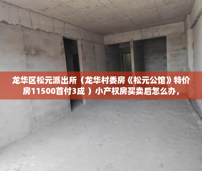 龙华区松元派出所（龙华村委房《松元公馆》特价房11500首付3成 ）小产权房买卖后怎么办，