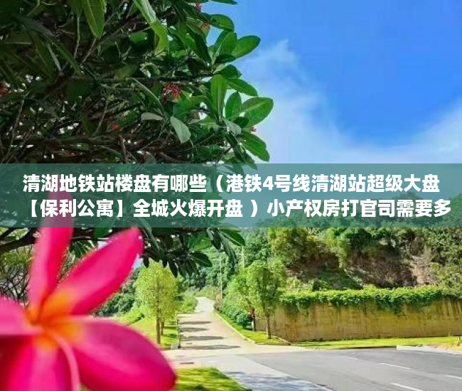 清湖地铁站楼盘有哪些（港铁4号线清湖站超级大盘【保利公寓】全城火爆开盘 ）小产权房打官司需要多久，