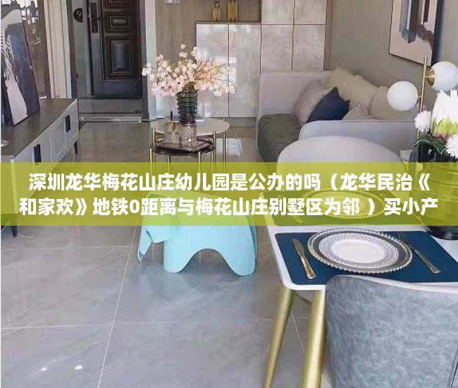 深圳龙华梅花山庄幼儿园是公办的吗（龙华民治《和家欢》地铁0距离与梅花山庄别墅区为邻 ）买小产权房子怎么才能买，