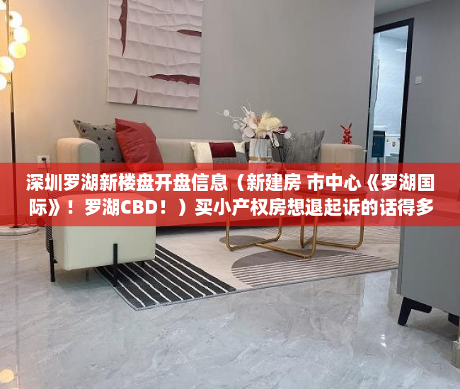 深圳罗湖新楼盘开盘信息（新建房 市中心《罗湖国际》！罗湖CBD！）买小产权房想退起诉的话得多久，