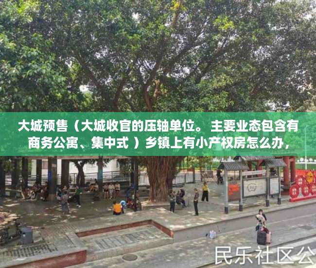 大城预售（大城收官的压轴单位。 主要业态包含有商务公寓、集中式 ）乡镇上有小产权房怎么办，