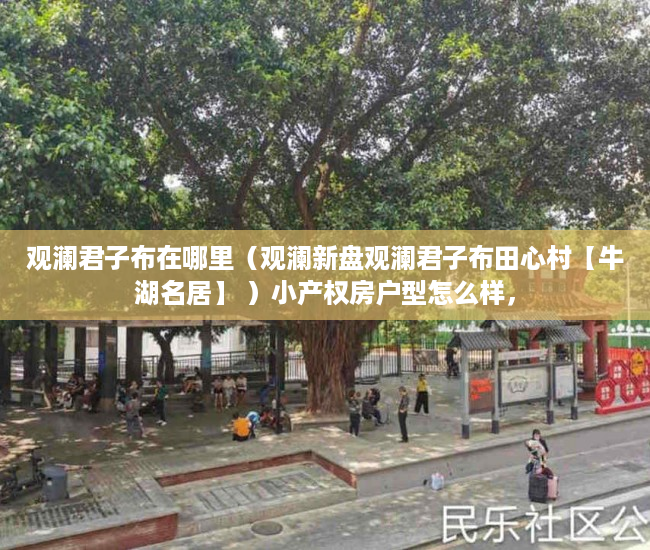 观澜君子布在哪里（观澜新盘观澜君子布田心村【牛湖名居】 ）小产权房户型怎么样，