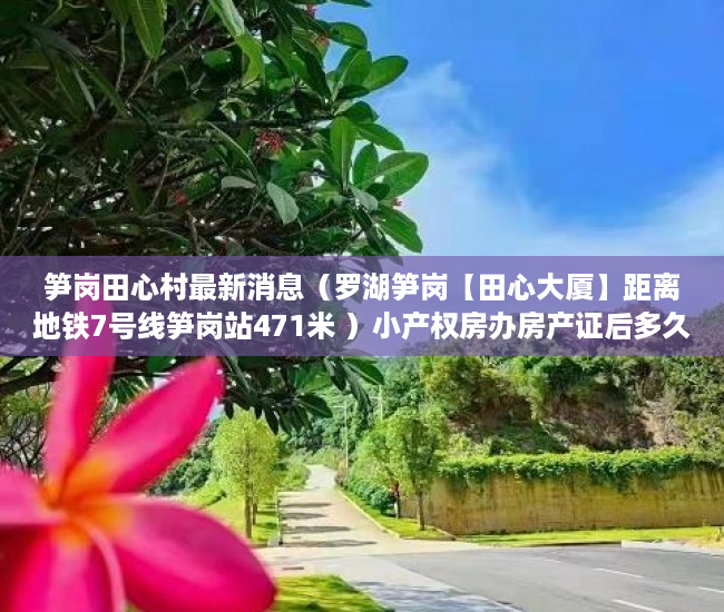 笋岗田心村最新消息（罗湖笋岗【田心大厦】距离地铁7号线笋岗站471米 ）小产权房办房产证后多久可买卖，