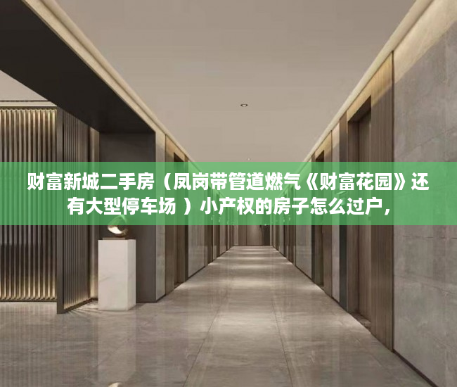 财富新城二手房（凤岗带管道燃气《财富花园》还有大型停车场 ）小产权的房子怎么过户，
