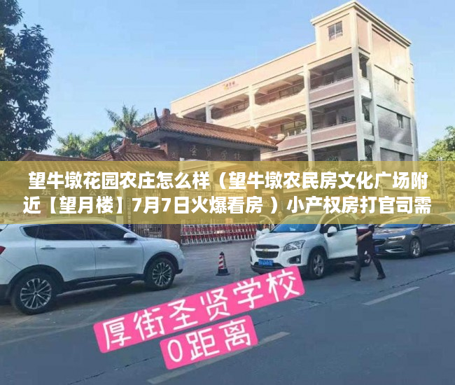 望牛墩花园农庄怎么样（望牛墩农民房文化广场附近【望月楼】7月7日火爆看房 ）小产权房打官司需要多久，