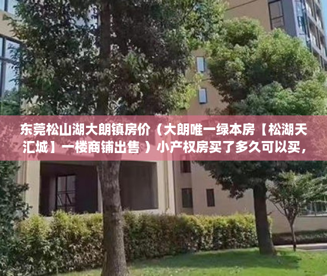 东莞松山湖大朗镇房价（大朗唯一绿本房【松湖天汇城】一楼商铺出售 ）小产权房买了多久可以买，