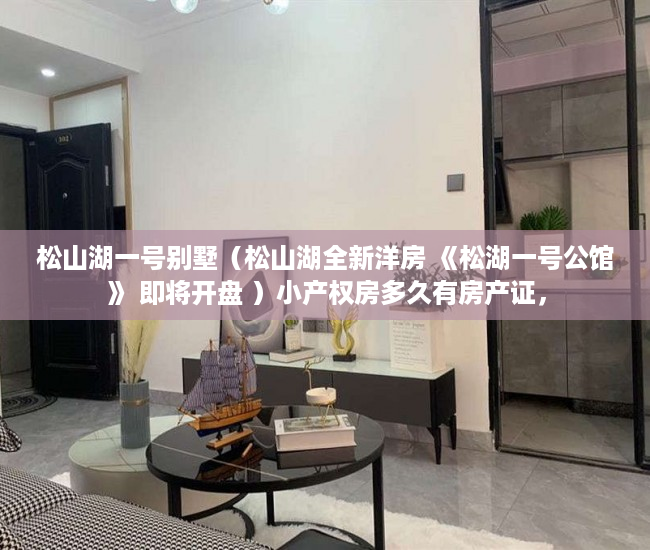 松山湖一号别墅（松山湖全新洋房 《松湖一号公馆》 即将开盘 ）小产权房多久有房产证，