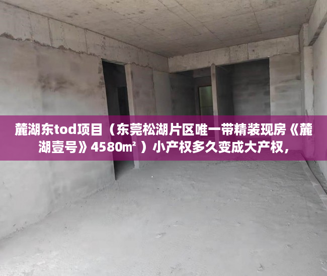 麓湖东tod项目（东莞松湖片区唯一带精装现房《麓湖壹号》4580㎡ ）小产权多久变成大产权，