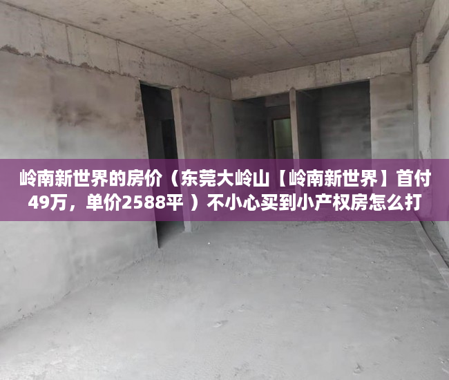 岭南新世界的房价（东莞大岭山【岭南新世界】首付49万，单价2588平 ）不小心买到小产权房怎么打官司，
