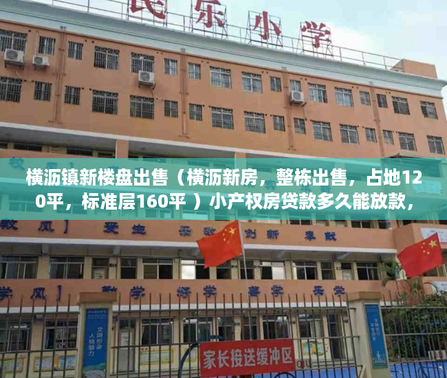 横沥镇新楼盘出售（横沥新房，整栋出售，占地120平，标准层160平 ）小产权房贷款多久能放款，